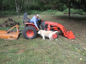 Cliff and Cooper, field mowing team